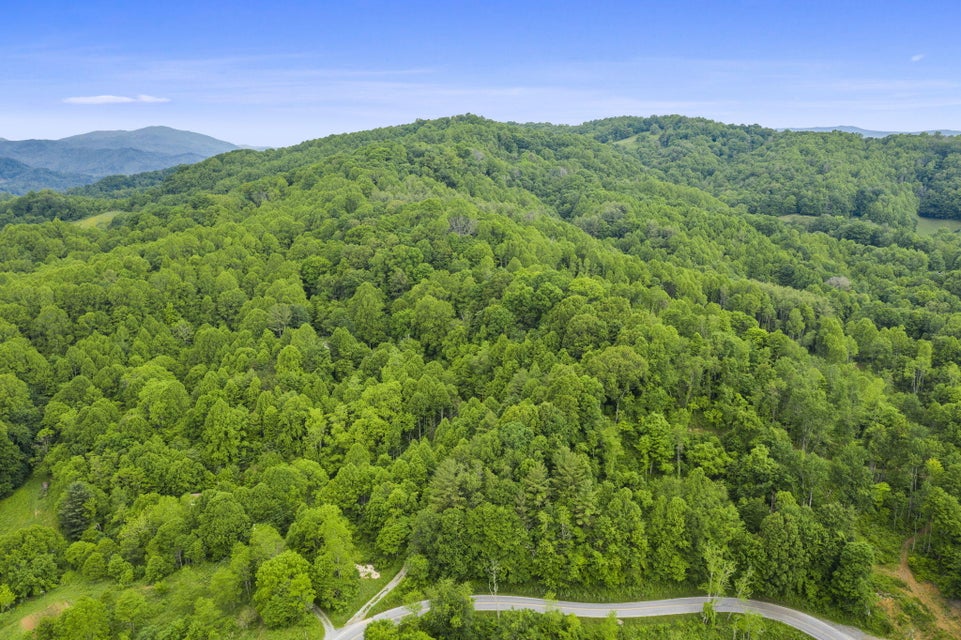 Photo #1: Tbd Buck Mtn Road