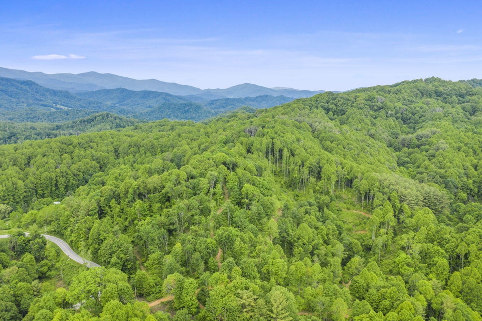 Photo #2: Tbd Buck Mtn Road
