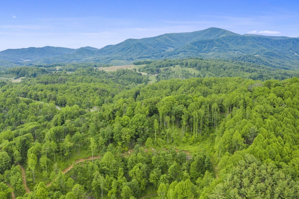 Photo #3: Tbd Buck Mtn Road