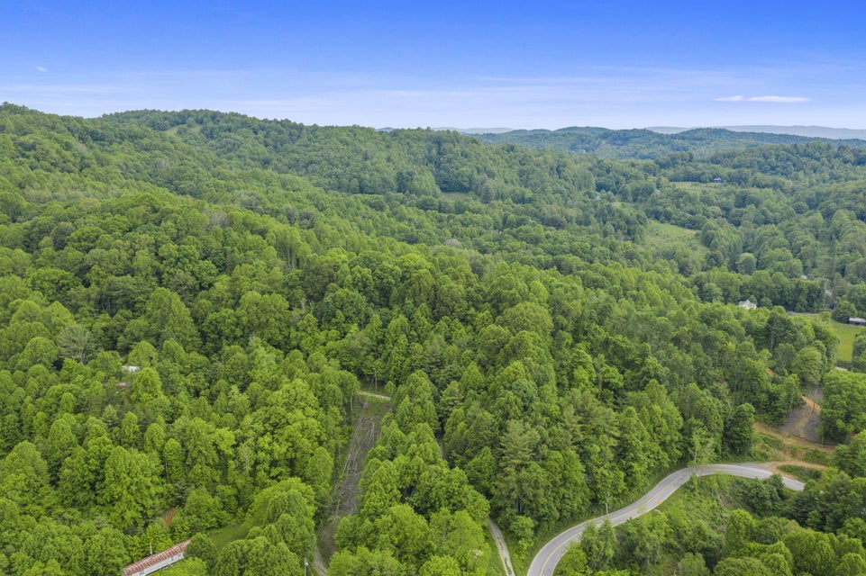 Photo #4: Tbd Buck Mtn Road