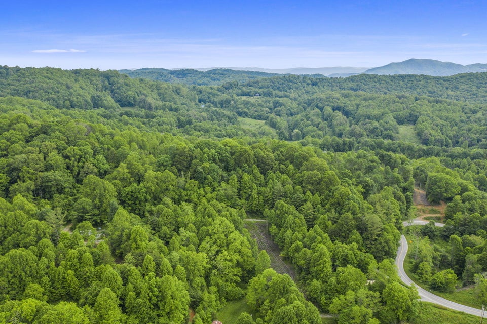 Photo #5: Tbd Buck Mtn Road