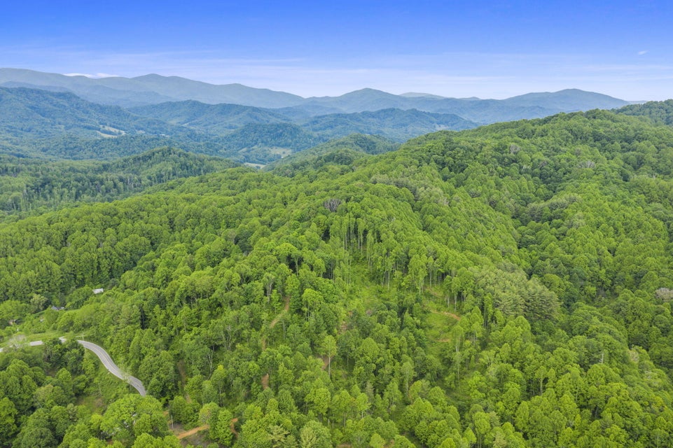 Photo #6: Tbd Buck Mtn Road