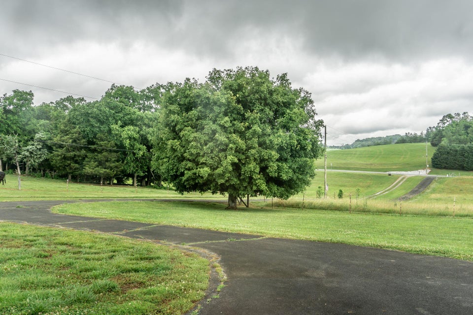 Photo #38: 2195 Cedar Creek Road