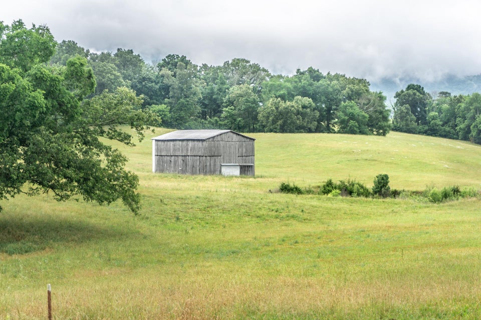 Photo #44: 2195 Cedar Creek Road