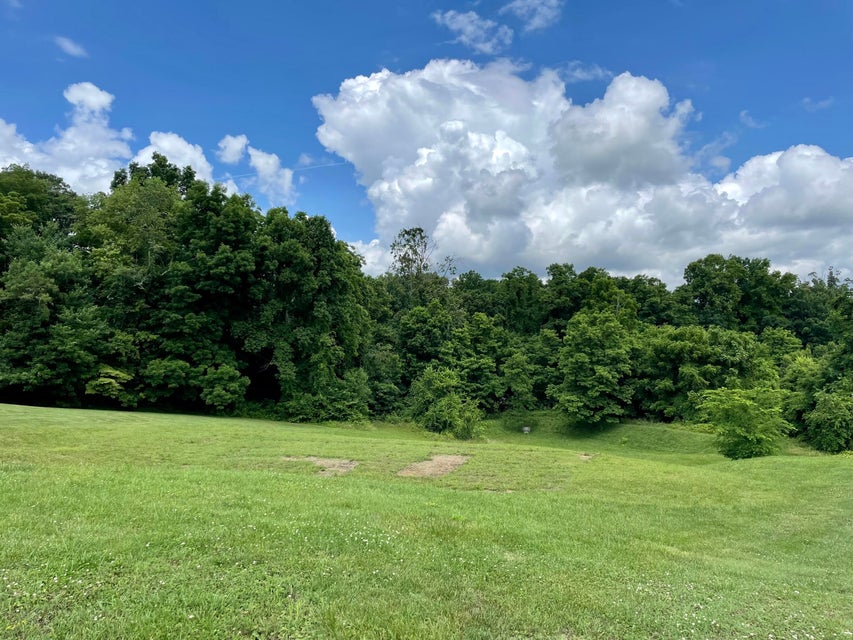 Photo #1: 160 Sunset Meadows Court