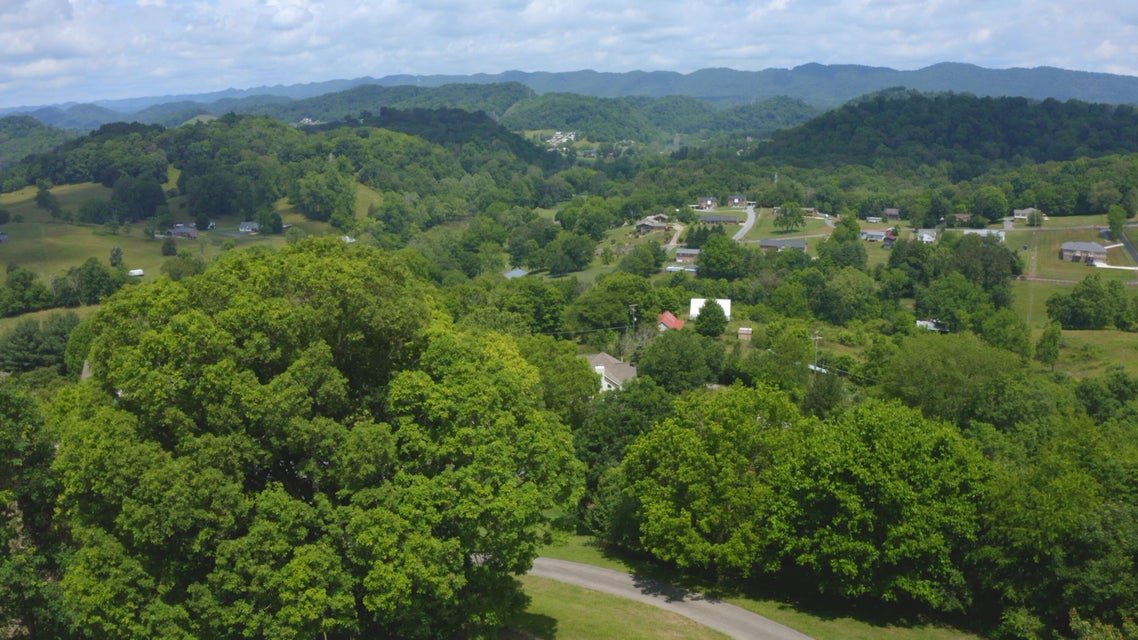 Photo #31: 205 Briarfield Drive