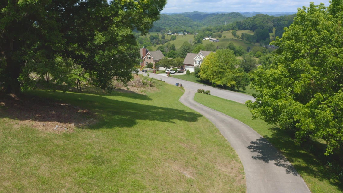 Photo #34: 205 Briarfield Drive