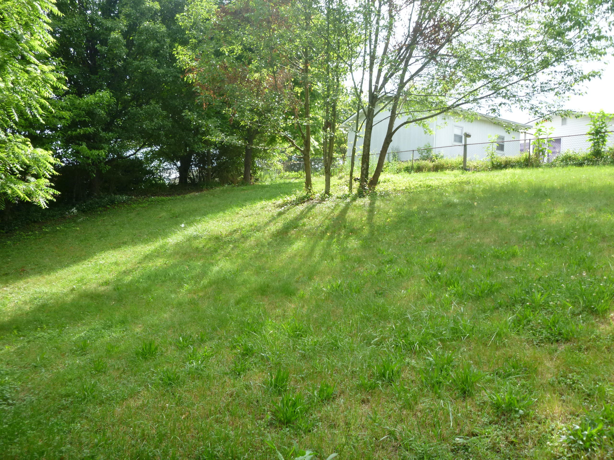 Photo #41: 805 Summer Hills Court