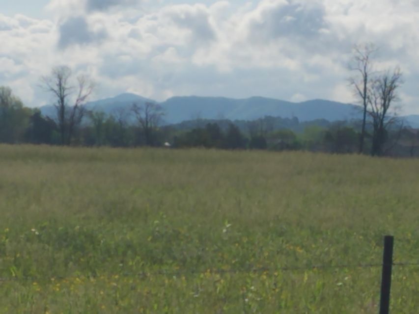 Photo #5: Lot 5 Telford New Victory Road