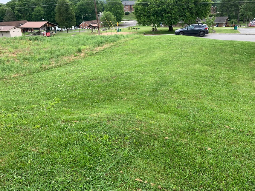Photo #4:
