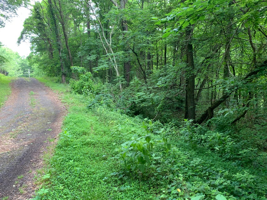 Photo #1: Tbd Davis Drive