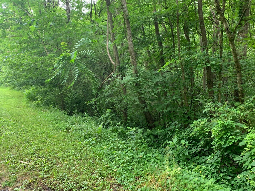 Photo #6: Tbd Davis Drive