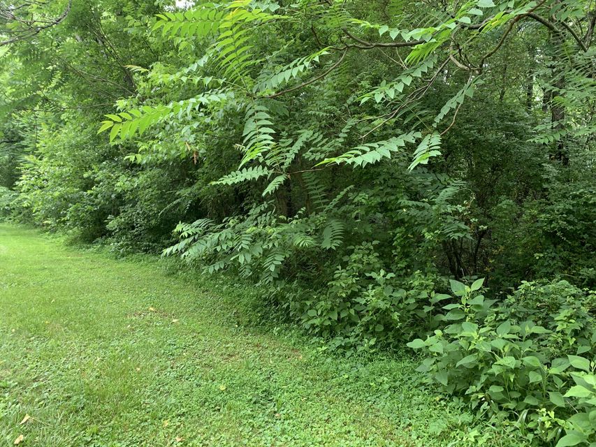 Photo #9: Tbd Davis Drive