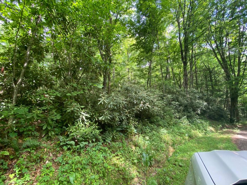 Photo #6: Tbd Old Cabin Road