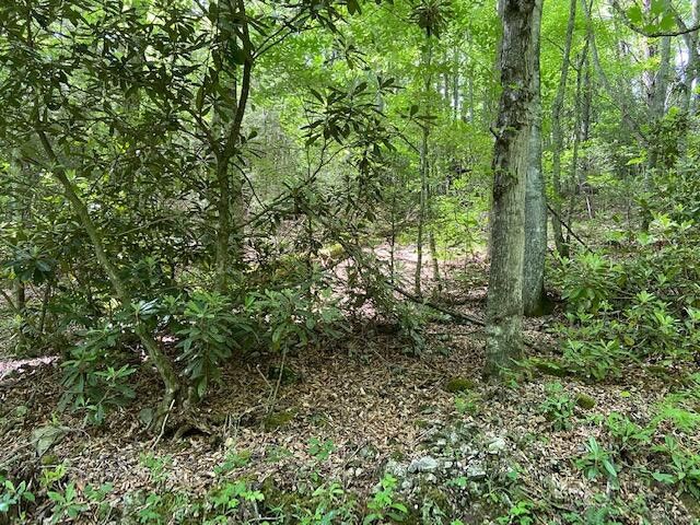 Photo #11: Tbd Old Cabin Road