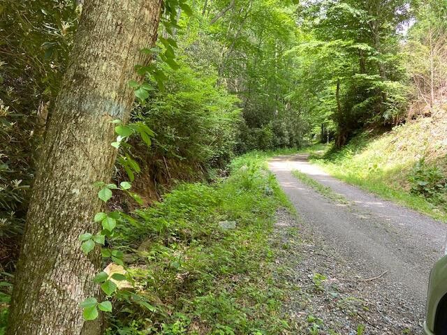 Photo #15: Tbd Old Cabin Road