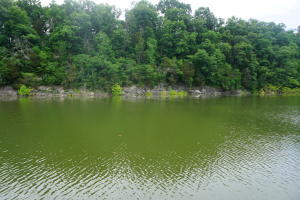 Photo #3: Lot 7 Reynolds Road