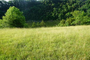 Photo #4: Lot 7 Reynolds Road