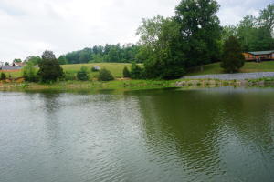 Photo #1: Lot 1 Reynolds Road