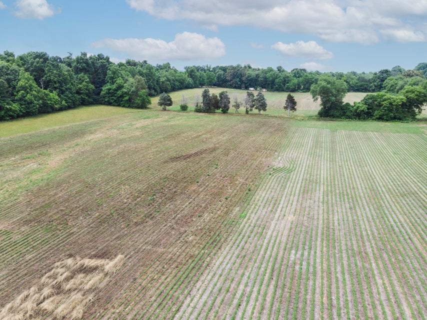 Photo #4: Tbd Telford New Victory Road