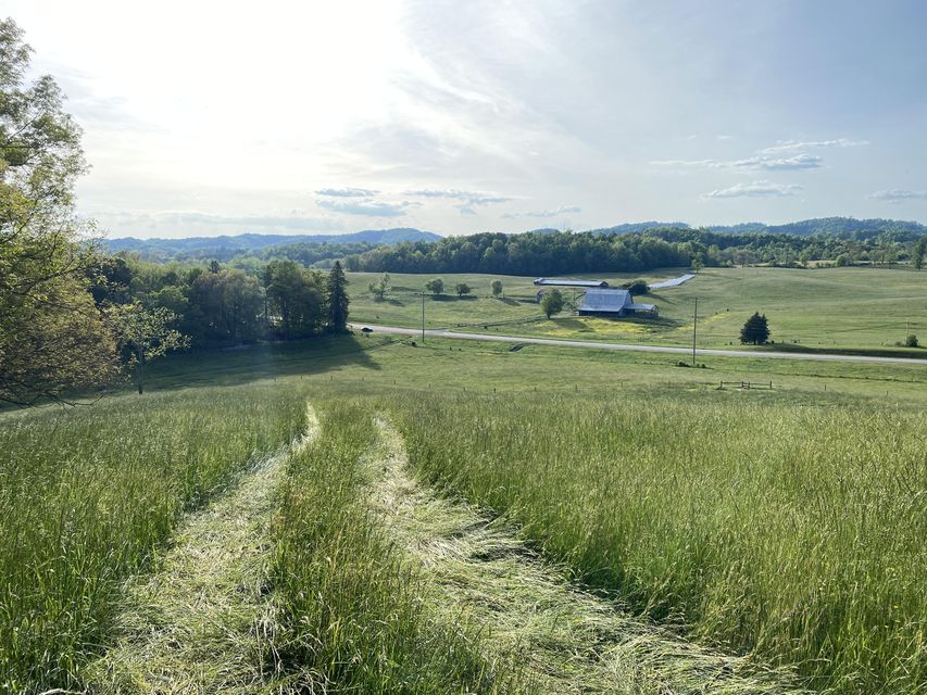 Photo #3: Tbd Highway 421