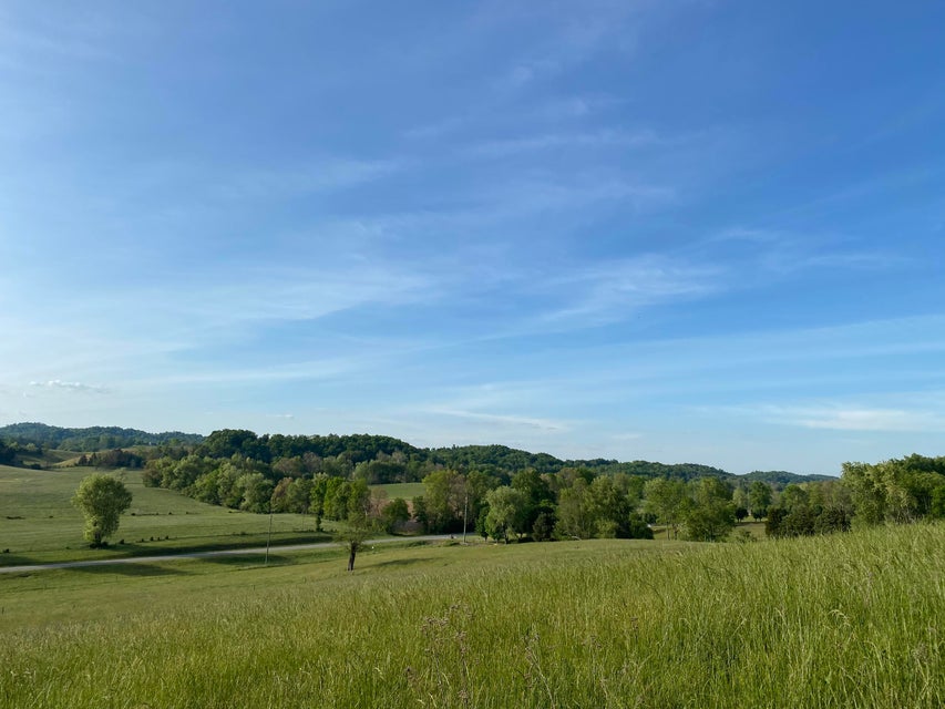 Photo #4: Tbd Highway 421