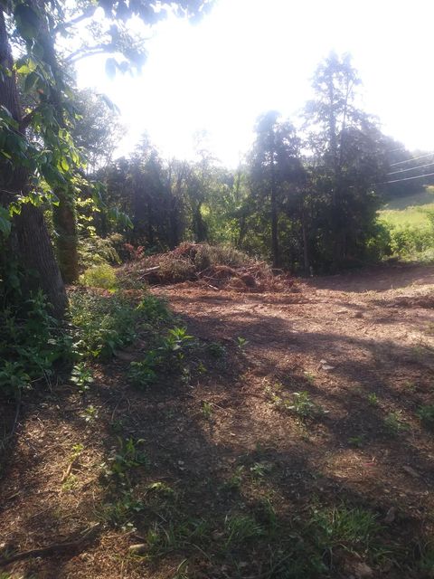 Photo #3: Lot #8 Cindy Drive