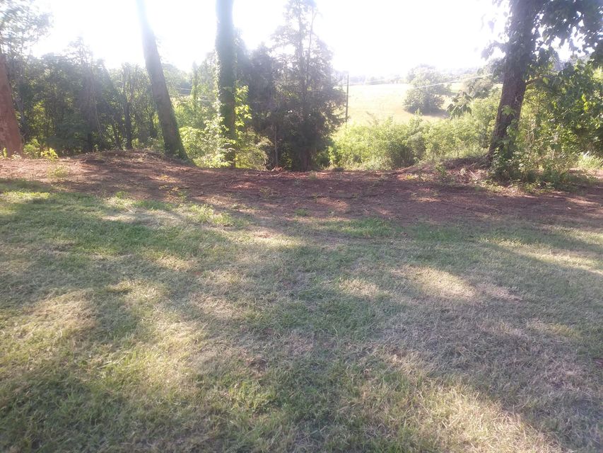 Photo #4: Lot #8 Cindy Drive