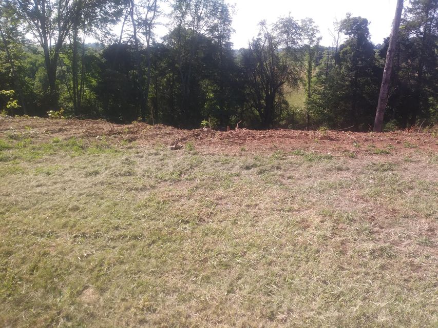 Photo #6: Lot #8 Cindy Drive