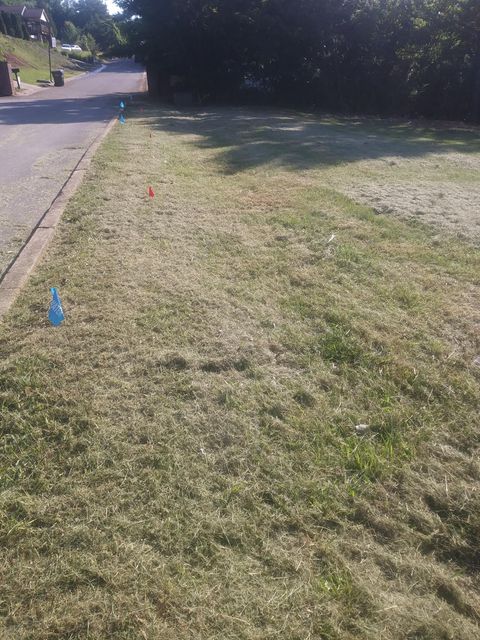 Photo #2: Lot 9 Cindy Drive