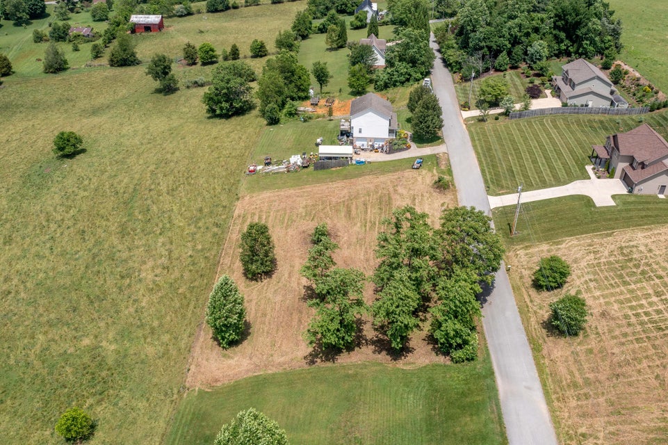 Photo #11: Tbd Bob Walker Road