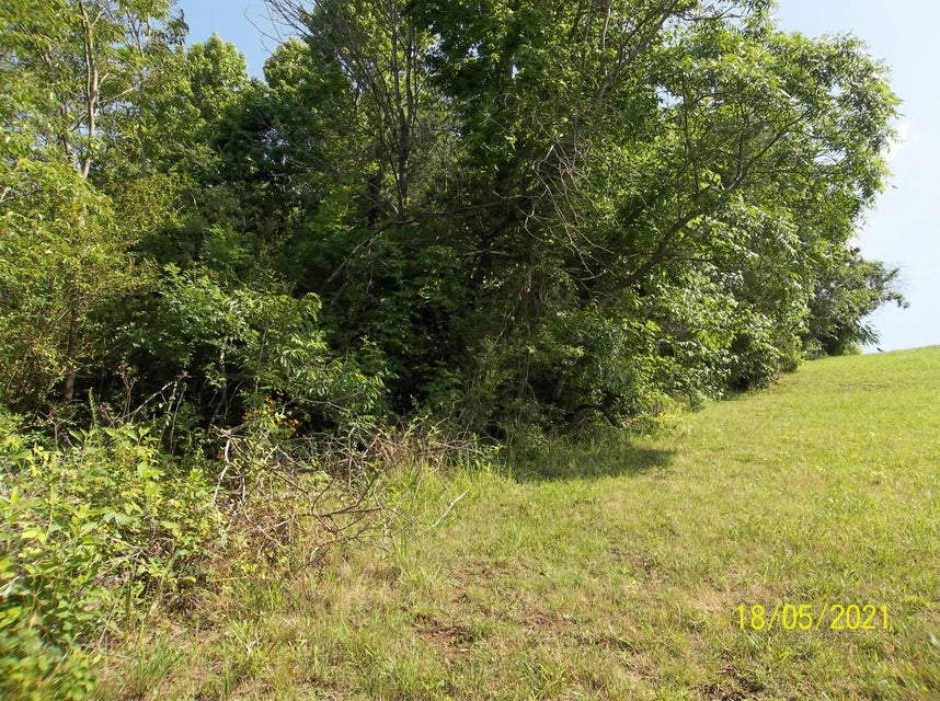 Photo #10: Lot 7 West Lake Dr