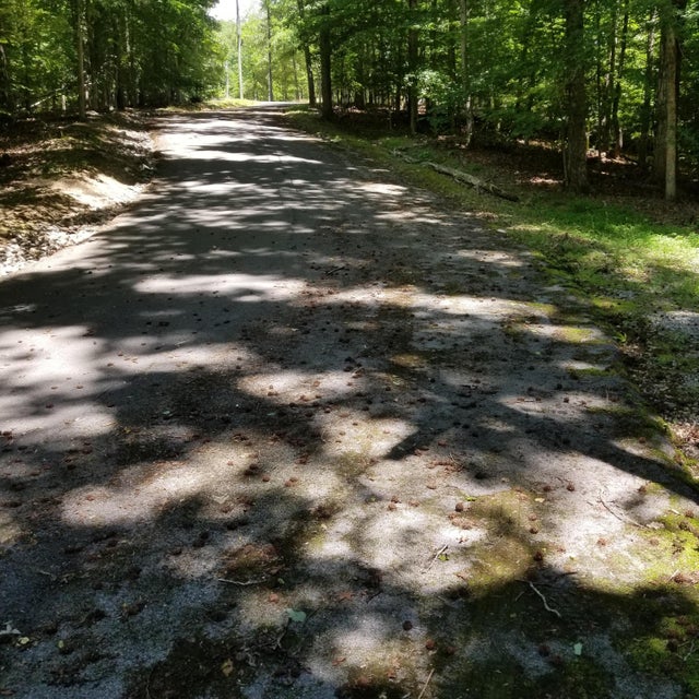 Photo #2: 202 Toqua Lane