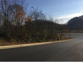 Photo #3: Lot 4&5 Airport Road / Hwy 75