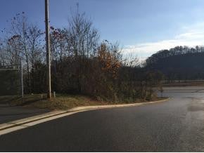 Photo #4: Lot 4&5 Airport Road / Hwy 75