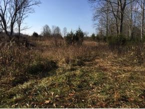 Photo #16: Lot 4&5 Airport Road / Hwy 75