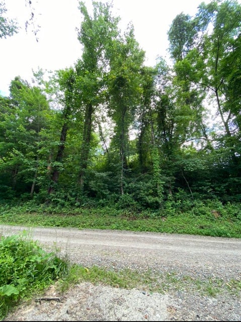 Photo #2: Tbd Norris Road