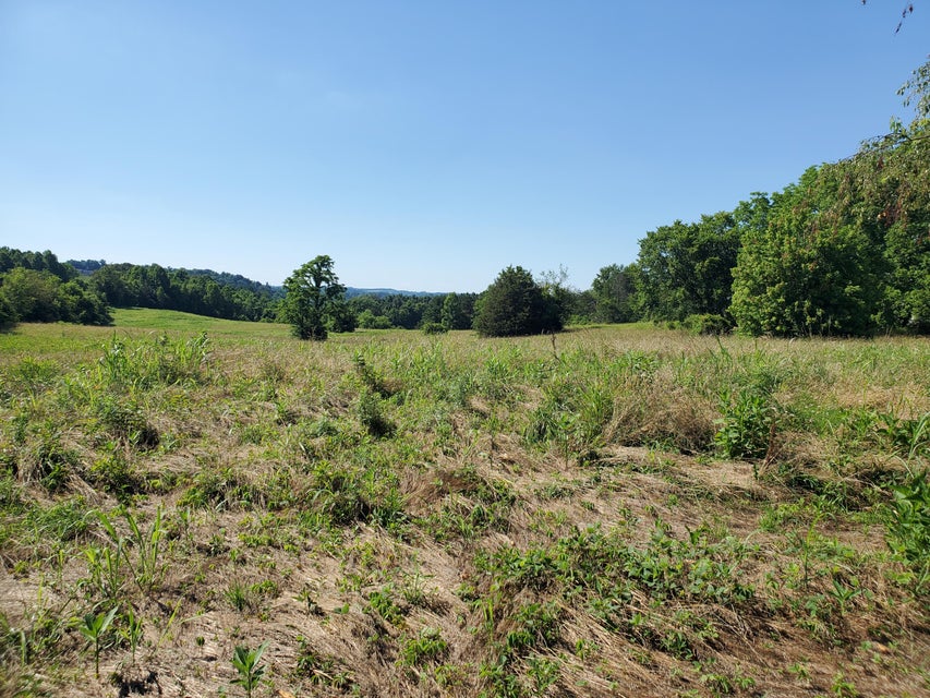 Photo #6: Tbd Tn-351