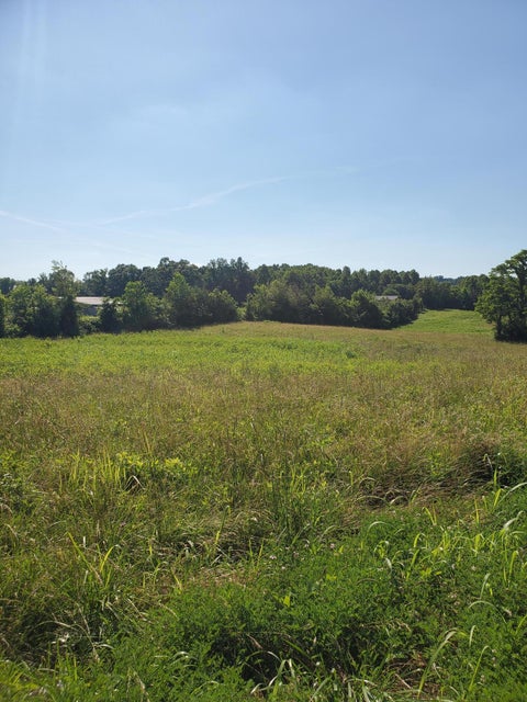 Photo #7: Tbd Tn-351