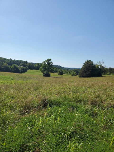Photo #8: Tbd Tn-351