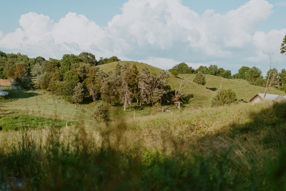 Photo #3: 353 Webber Road