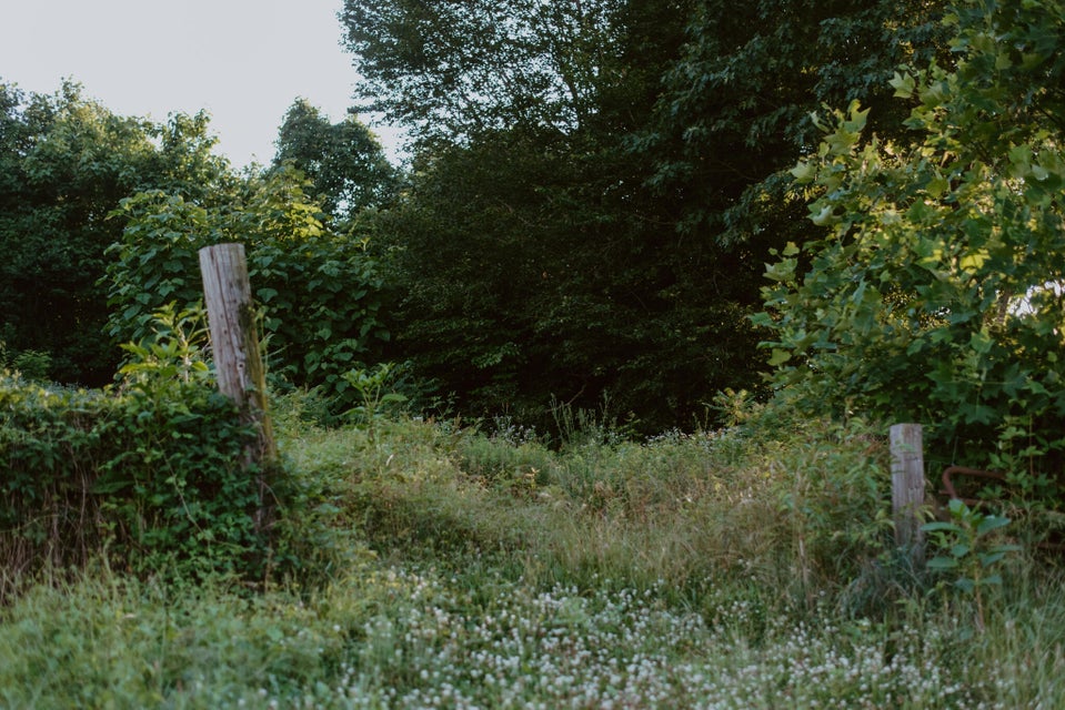 Photo #5: 353 Webber Road