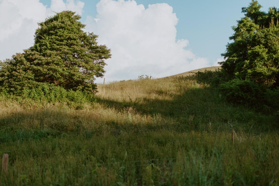 Photo #2: 353 Webber Road