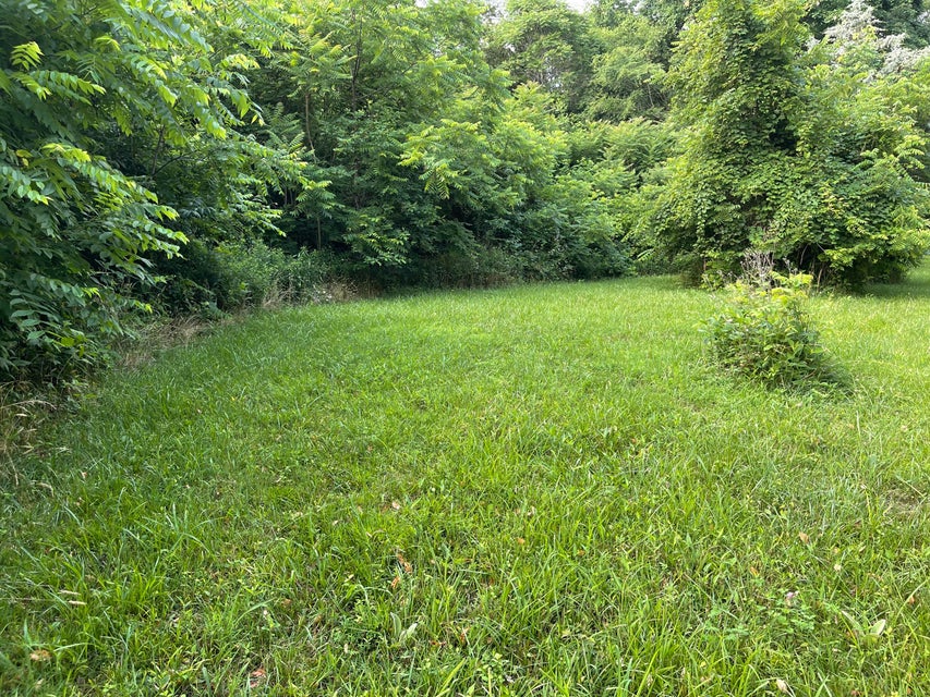 Photo #6: 0 Berwick North Lane