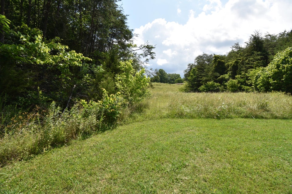 Photo #7: 2550 Highway 66