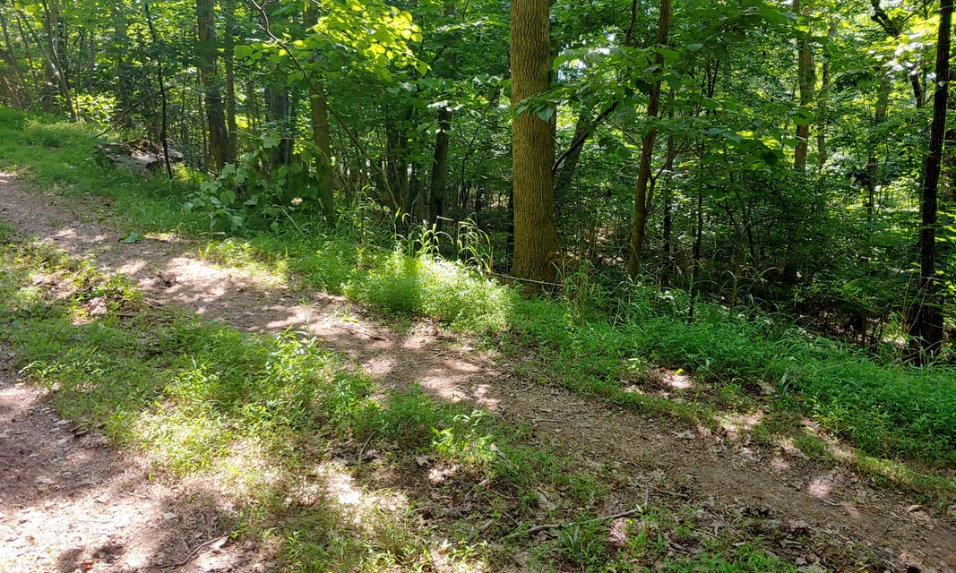 Photo #7: Tbd Furches Drive