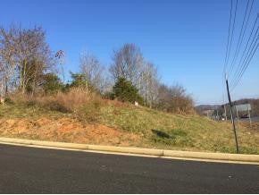 Photo #5: Lots 1-3 Airport Road / Hwy 75
