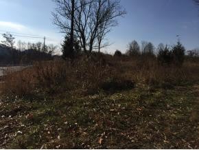 Photo #16: Lots 1-3 Airport Road / Hwy 75
