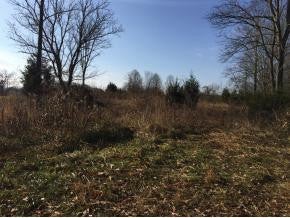 Photo #17: Lots 1-3 Airport Road / Hwy 75