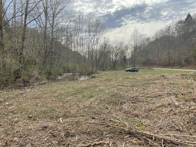 Photo #3: 0 Spruce Pine